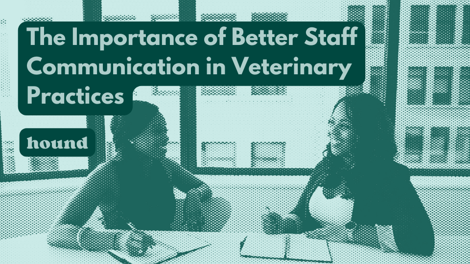 The Importance of Better Staff Communication in Veterinary Practices